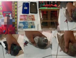 Reskrim Polres Bondowoso, Berhasil Bubarkan Arena Balap Merpati