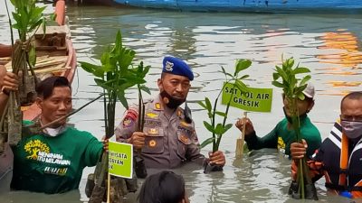 Peduli Lingkungan Polisi di Gresik Tanam Mangrove di Hari Perhubungan Nasional