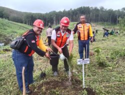 Cegah Tanah Longsor dan Bencana Alam Perhutani KPH Bondowoso Laksanakan Penanaman Pohon Pinus