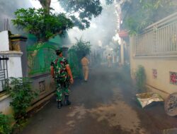 Waspada Demam Berdarah, Babinsa Tamansari Lakukan Fogging