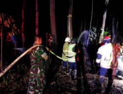 Kebakaran Hutan Di Kawasan Hutan Petak 18B RPH Curahdami Dekat Batalyon Raider 514/SY Bondowoso