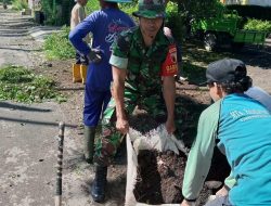 Wujud Nyata Kemanunggalan, Babinsa Serda Alamudin Karya Bakti Bersama Warga