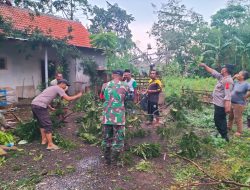 Anggota Polsek Wonosari bantu evakuasi pohon akibat puting beliung