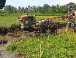 Bersama rakyat, Babinsa Koramil 0822/04 tenggarang bantu petani