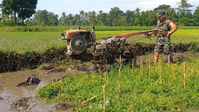 Bersama rakyat, Babinsa Koramil 0822/04 tenggarang bantu petani