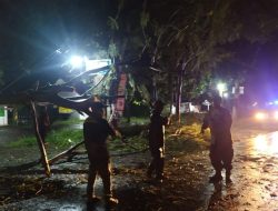 Tanggap, Gerak Cepat Babinsa 0822/15 Klabang Evakuasi Pohon Tumbang
