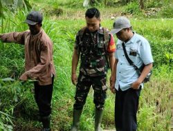 Musim Tanam, Babinsa Penang Bersama Petani Bantu Persiapkan Pompanisasi