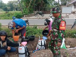 Sukseskan Hanpangan, Kodim 0822 Bondowoso Kerahkan Babinsa