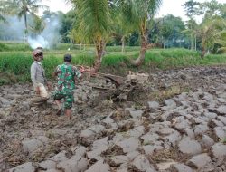 Babinsa Kodim 0822 Serentak Dampingi Petani Mengolah Lahan Sawah