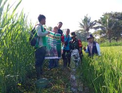 Babinsa Koramil 0822/02 Curahdami Cek Alsintan di Wilayah Binaannya