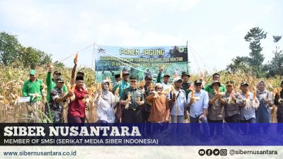 Panen Jagung di Desa Bajuran, Dandim 0822 Sebut Menuju Ketahanan Pangan Yang Lebih Baik