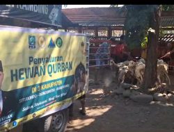 Perayaan Idul Adha 1445 H, Nasim Khan DPR RI Salurkan Puluhan Kambing Terbaik di Tiga Kabupaten