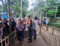 Demi Ketertiban, Babinsa Grujugan Pantau Penyembelihan Hewan Kurban