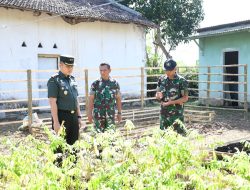 Dandim 0822 Bondowoso Tinjau Pembibitan di Makoramil Curahdami