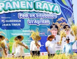 Bupati Situbondo bersama Pj Gubernur Jatim Panen Raya Padi BK 01 Agritan di Desa Demung Besuki