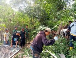 Dandim 0422/LB Bersama Satgas Gabungan Evaluasi Konflik Manusia dan Satwa Liar Harimau Sumatera