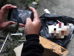 Media Tempo diteror Kepala Babi dan Bangkai Tikus, SMSI Bondowoso Sebut Kebebasan Pers Terancam