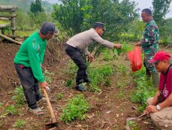 Wujudkan Ketahanan Pangan, Polres Nganjuk Bersama Petani Kembali Tanam Jagung