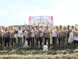 Polres Kediri Kota bersama Warga Tani Panen Raya Jagung, Wujud Nyata Dukung Swasembada Pangan