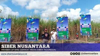 Panen Tebu Perdana, Petani Ogal Optimis PG Prajekan Capai Target Produksi