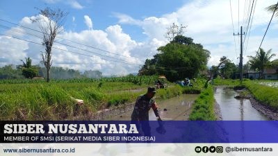 Turun Langsung ke Ladang, Serka Lugito Buktikan TNI Dekat dengan Rakyat