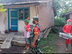 Antisipasi Chikungunya,  Babinsa Dawuhan Kawal Fogging di Desa Binaannya