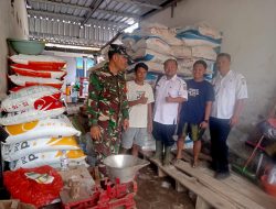 Babinsa Grujugan Kawal Ketersediaan Pupuk, Petani Merasa Lebih Aman