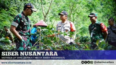 Dandim 0822 Dampingi Pangdam V/Brw dan Kapolda Jatim di Lokasi Panen Raya Kopi Bersama Wapres RI