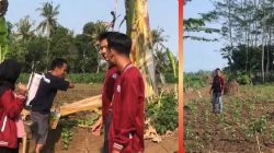 Perkuat Ketahanan Pangan Desa, Mahasiswa KKN UNMUH Jember Jalin Sinergi Dengan Petani