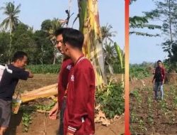 Perkuat Ketahanan Pangan Desa, Mahasiswa KKN UNMUH Jember Jalin Sinergi Dengan Petani