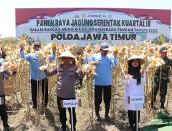 Kapolda Jatim Bersama Forkopimda Banyuwangi Gelar Panen Jagung Serentak 1.446 Ton