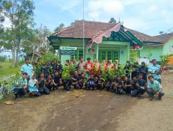 Dukung Penghijauan Sekolah, Perhutani KPH Bondowoso Serahkan Bibit Pohon ke SMAN 2 Situbondo