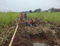 Babinsa 0822 Intensif Awasi Pembangunan Program KDKMP di Dusun Gentengan Desa Koncer Kidul