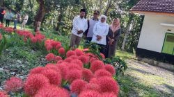 Bunga Desember Bersemi di Perhutani Klabang, Gubernur Khofifah ‘Saya Suka Bunga’