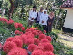 Bunga Desember Bersemi di Perhutani Klabang, Gubernur Khofifah ‘Saya Suka Bunga’