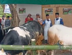 Bupati Bondowoso Hadiri Pengobatan Massal Ternak, Kades Bajuran Ucapkan Terima Kasih