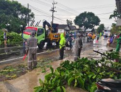 Polsek Kota Bondowoso “Gercep” Evakuasi Pohon Tumbang, Kapolres Berikan Apresiasi