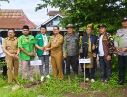 Sedekah Oksigen, Perhutani Bondowoso bersama GP Ansor Bagikan 50 Ribu Bibit