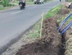 Galian Kabel Optik di Jalan Provinsi Telan Korban, Warga dan Pengacara Kondang Bereaksi Keras