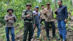 Verifikasi Bersama, Perhutani Tegaskan Pengelolaan Hutan Kendit Masih Sejalan Regulasi