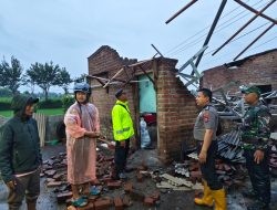 Bondowoso Dilanda Angin Kencang, Babinsa Jadi Garda Terdepan Bantu Warga