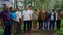 Sinergi Perhutani–Kejati Jatim, Agroforestry Kopi Bondowoso Jadi Percontohan Nasional