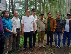 Sinergi Perhutani–Kejati Jatim, Agroforestry Kopi Bondowoso Jadi Percontohan Nasional