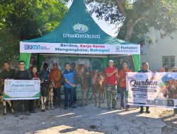 Perhutani KPH Bondowoso Bersama Ta’mir Masjid Al-Istiqomah Salurkan Daging Qurban