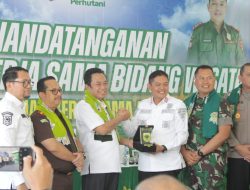 Sinergi Perhutani–Pemkab Bondowoso, 141 Petani Kantongi PKS Agroforestry Kopi
