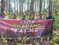 Siaga Karhutla, TNI POLRI bersama Perhutani Jaga Hutan Bondowoso