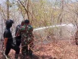 Kebakaran Hutan Arak-Arak Hanguskan 7 Hektare Lahan Jati, TNI Bergerak Cepat Jaga Alam Bondowoso