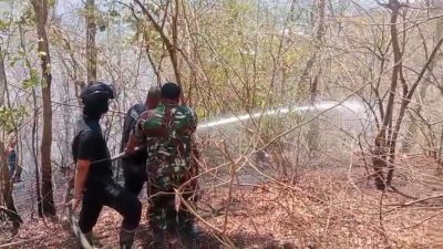 Kebakaran Hutan Arak-Arak Hanguskan 7 Hektare Lahan Jati, TNI Bergerak Cepat Jaga Alam Bondowoso