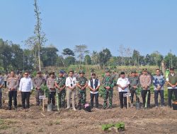 HUT TNI ke-81, Kodim 0822 Bondowoso Bersama Forkopimda Tanam 1.000 Pohon