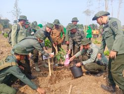 Perhutani Bondowoso Dukung Penanaman Bersama Kodim 0822, Perkuat Sinergi Pelestarian Hutan
